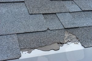 Roof Repair & Replacement Company in East Stroudsburg PA