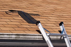 Roof Repair Belvidere NJ