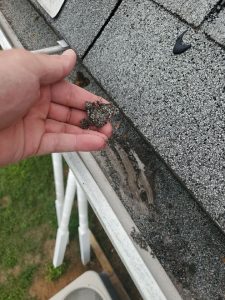 Shingle Granules in your gutters is a strong sign your shingles are aging and need replacing.