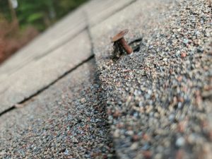 nail pops are a strong sign you need your roof replaced